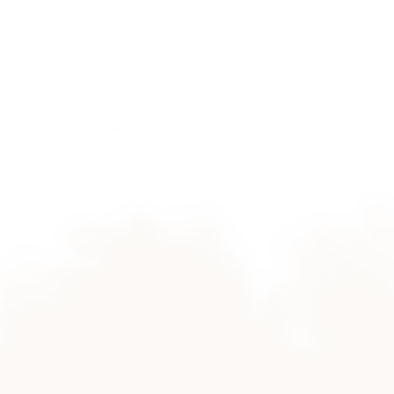 logotipo hierro casasola